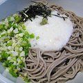 Photos: ひやし山かけ蕎麦…