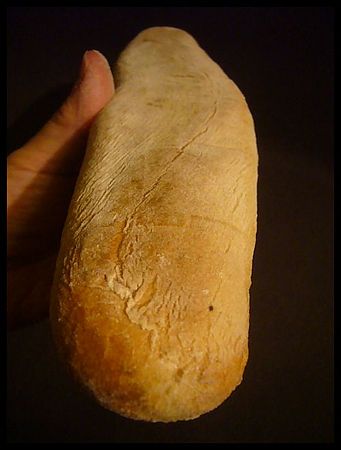 P2630504