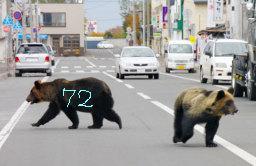 くま