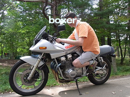 boxer