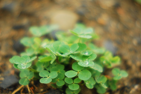 Faith and love and hope exposed to rain