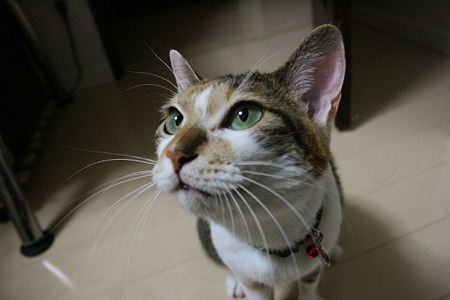 2010092702