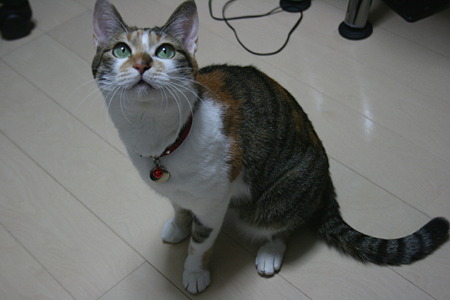 2011010903