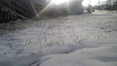 菅平に雪