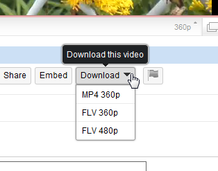 Operaエクステンション:FastestTube - YouTube Video Downloader(拡大)