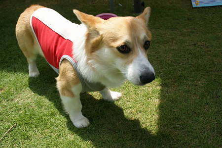 DSC05953