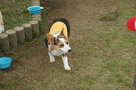 DSC00566