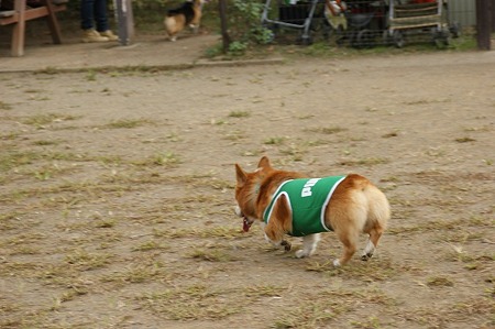 DSC03973