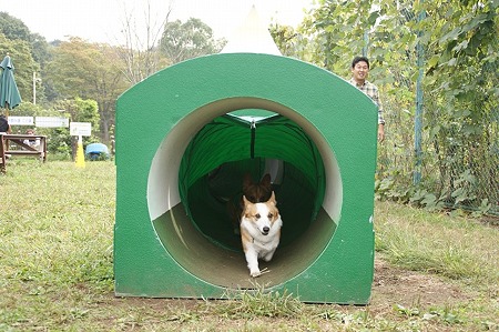DSC03996