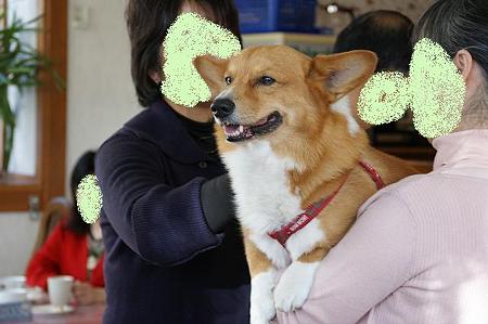 DSC05300