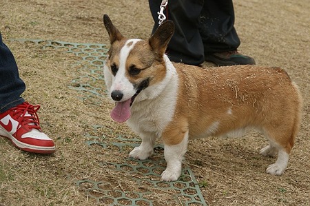 DSC09191