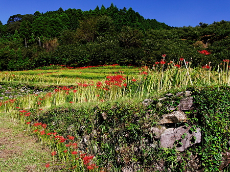 UZ240223_raw