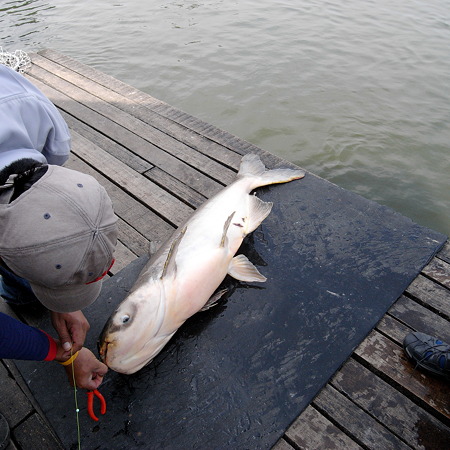釣り1