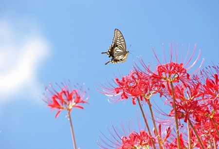 IMGP4901_0923