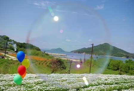 IMGP1941_0512