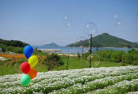 IMGP2000_0512