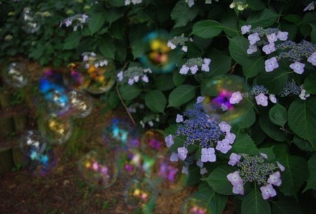 IMGP6420_0609