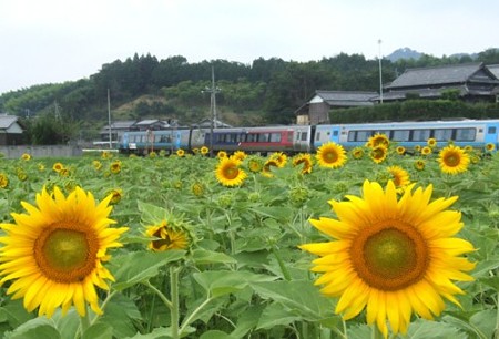 DSCF5660_0716