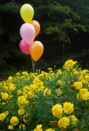 IMGP1580_0821