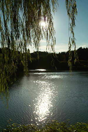 三ツ池公園