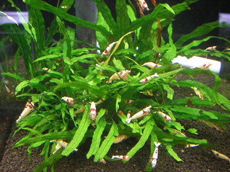 2011 01/30 001