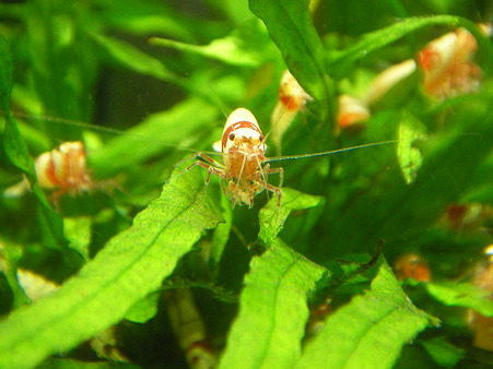2011 01/30 003