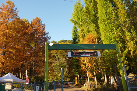 P1010648