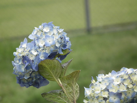 DSCF0065