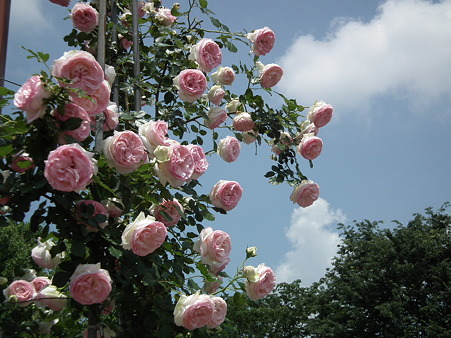DSCF0065