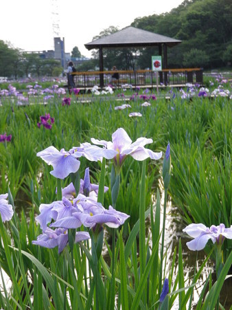IMGP0044