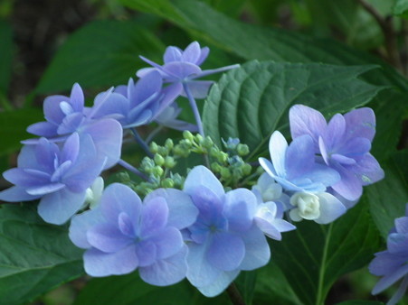 DSCF0580