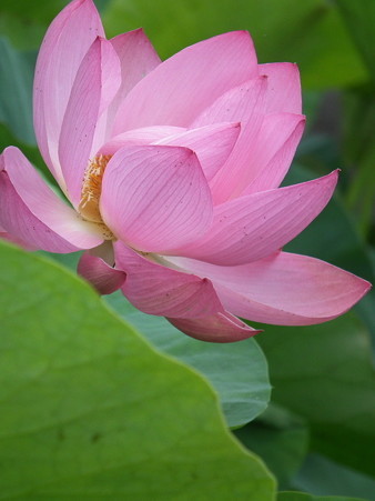 DSCF0079