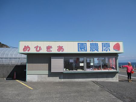 画像 005