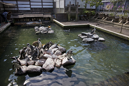 kakegawa110514331