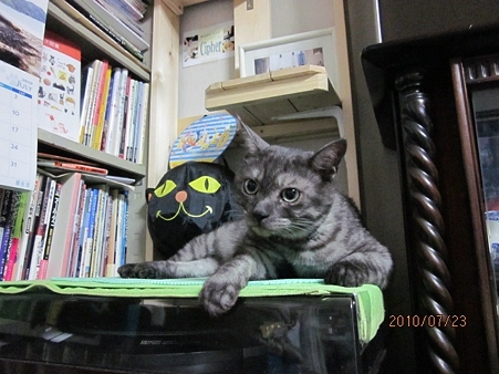 IMG_0875jl