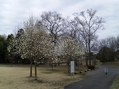 DVC00011
