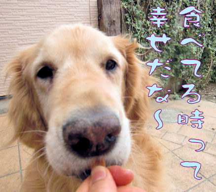 食べる