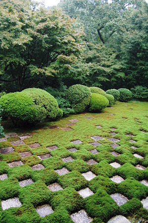 2010年10月31日_DSC_0216