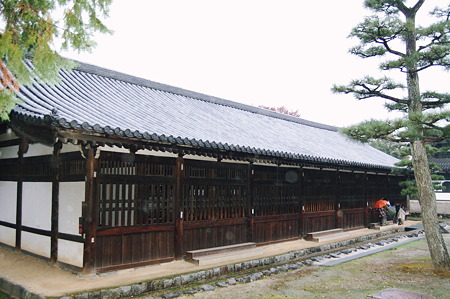 2010年10月31日_DSC_0238