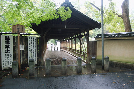 2010年10月31日_DSC_0175