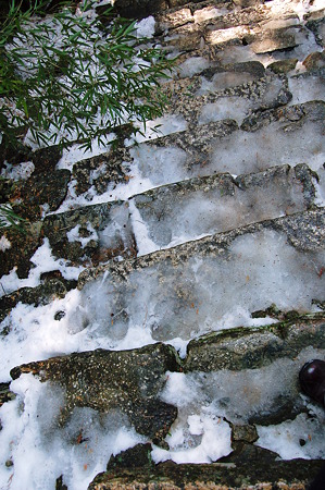 2011年01月09日_DSC_0163