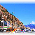 東海道本線 由比-興津 211系普通列車