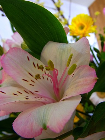 2011.3.6
