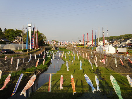 110426 鶴見川のこいのぼり