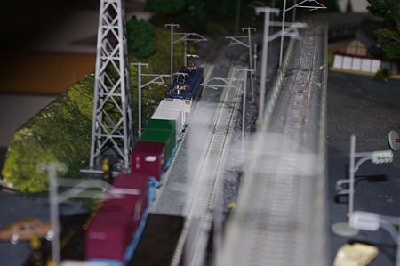 IMGP5814