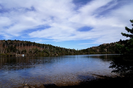 DSC00250