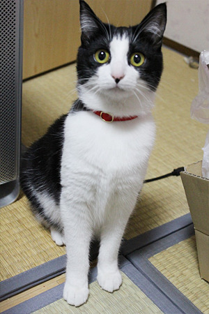 びっくり