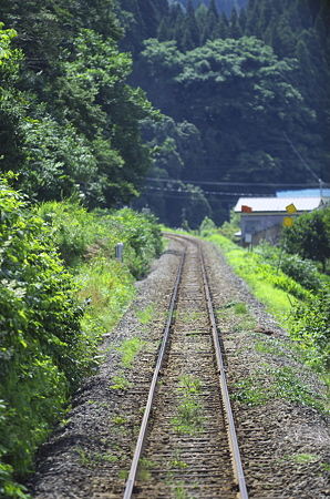 夏草の線路