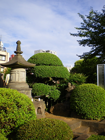IMGP1810