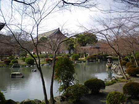 IMGP3935